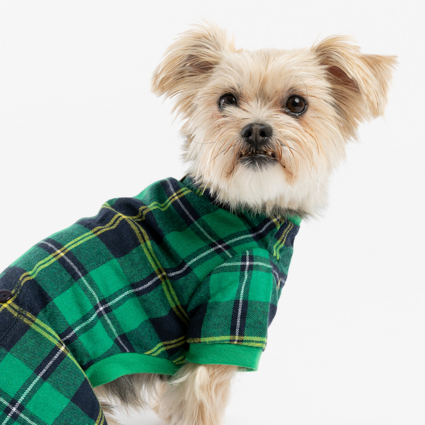 Plaid Dog Pajama - Green