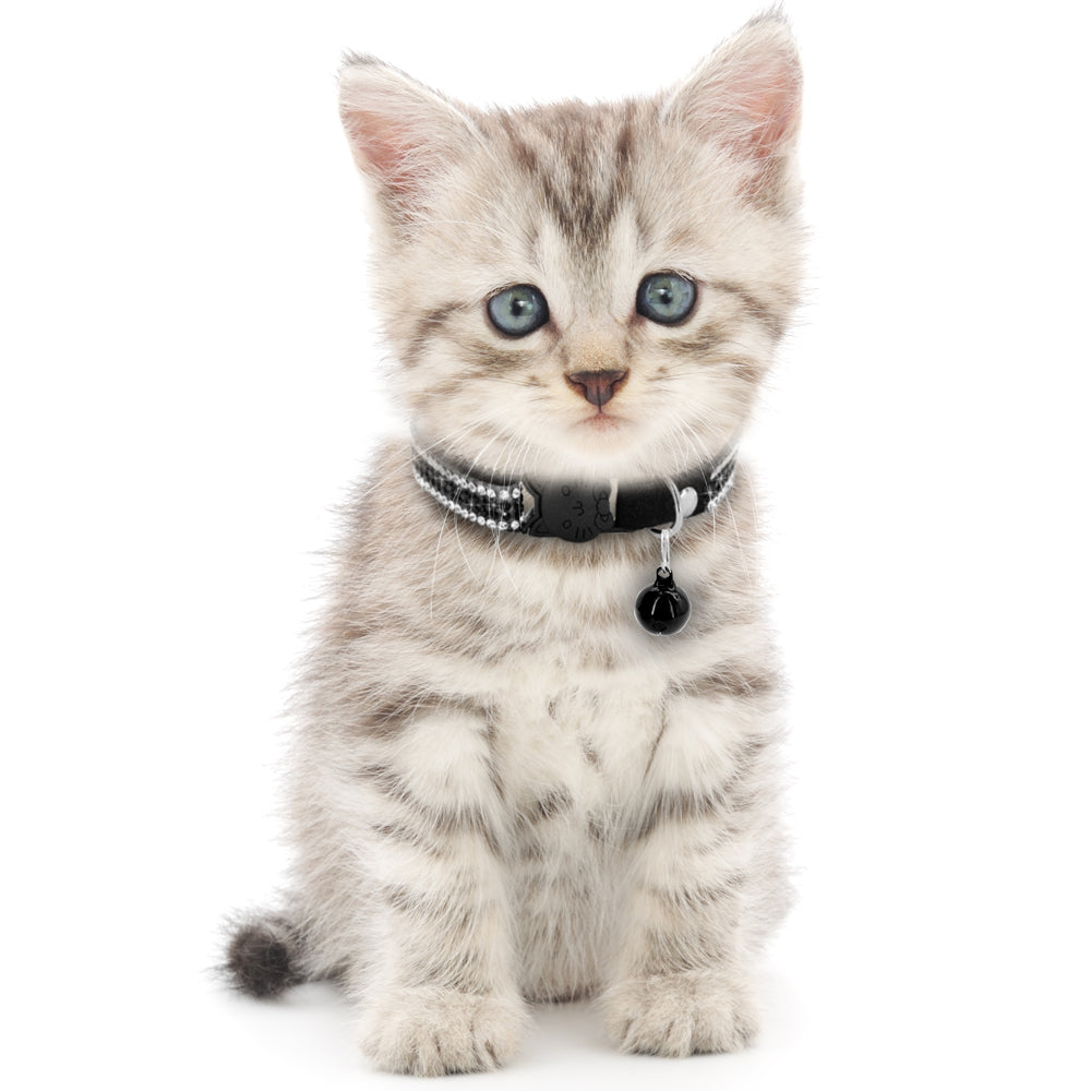 Cat Collar Crystal Cats Accessories Pets Dog Quick