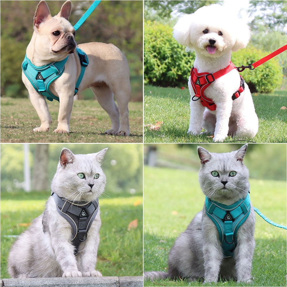 Dog Harness Leash Set Reflective Pet Harness Vest For Small Large Dog