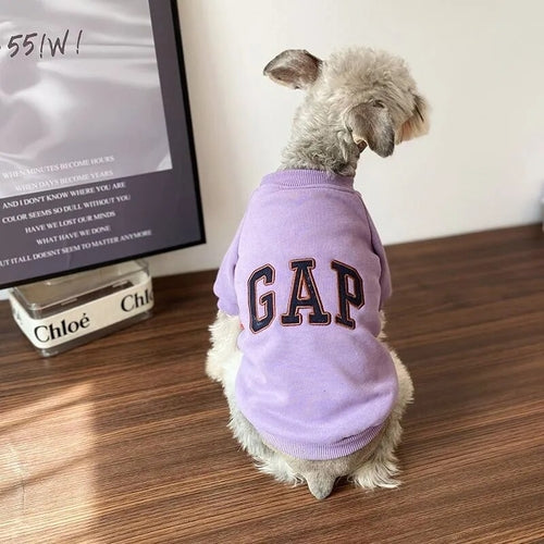 Fashion Embroidery Dog Clothes Hoodie Letter Pet Clothing for Small