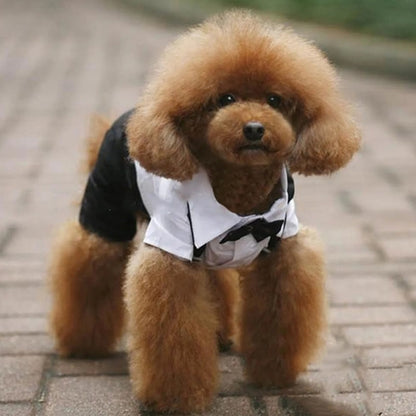 Tie Wedding Suit Dog Clothes Cosplay Pet Accessories Summer Breathable