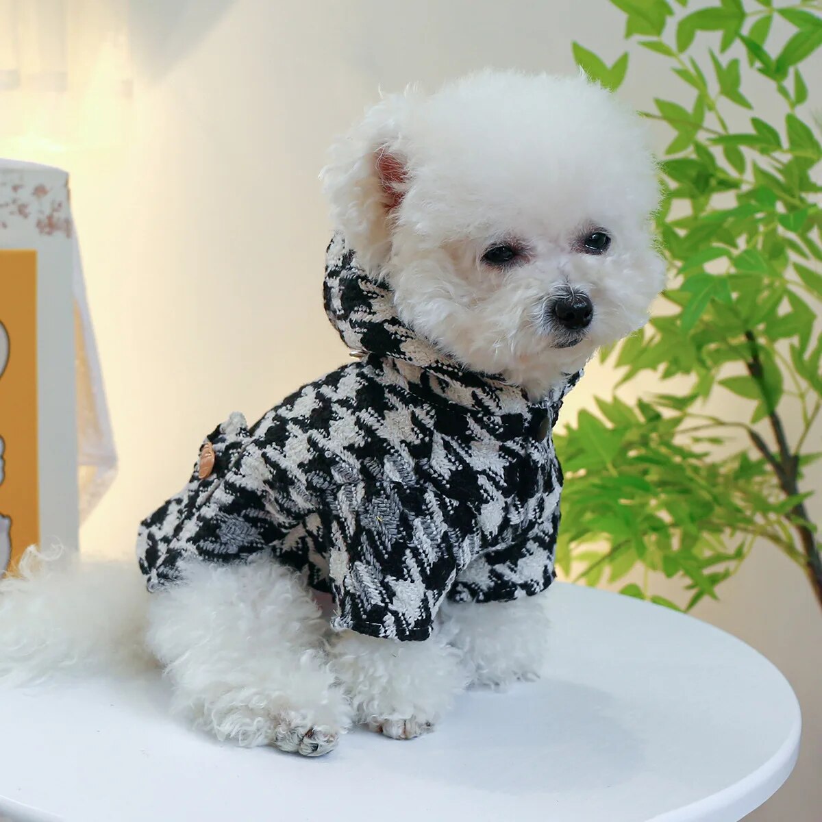 Autumn and Winter Pet Clothes Fashion Trench Coat Small and