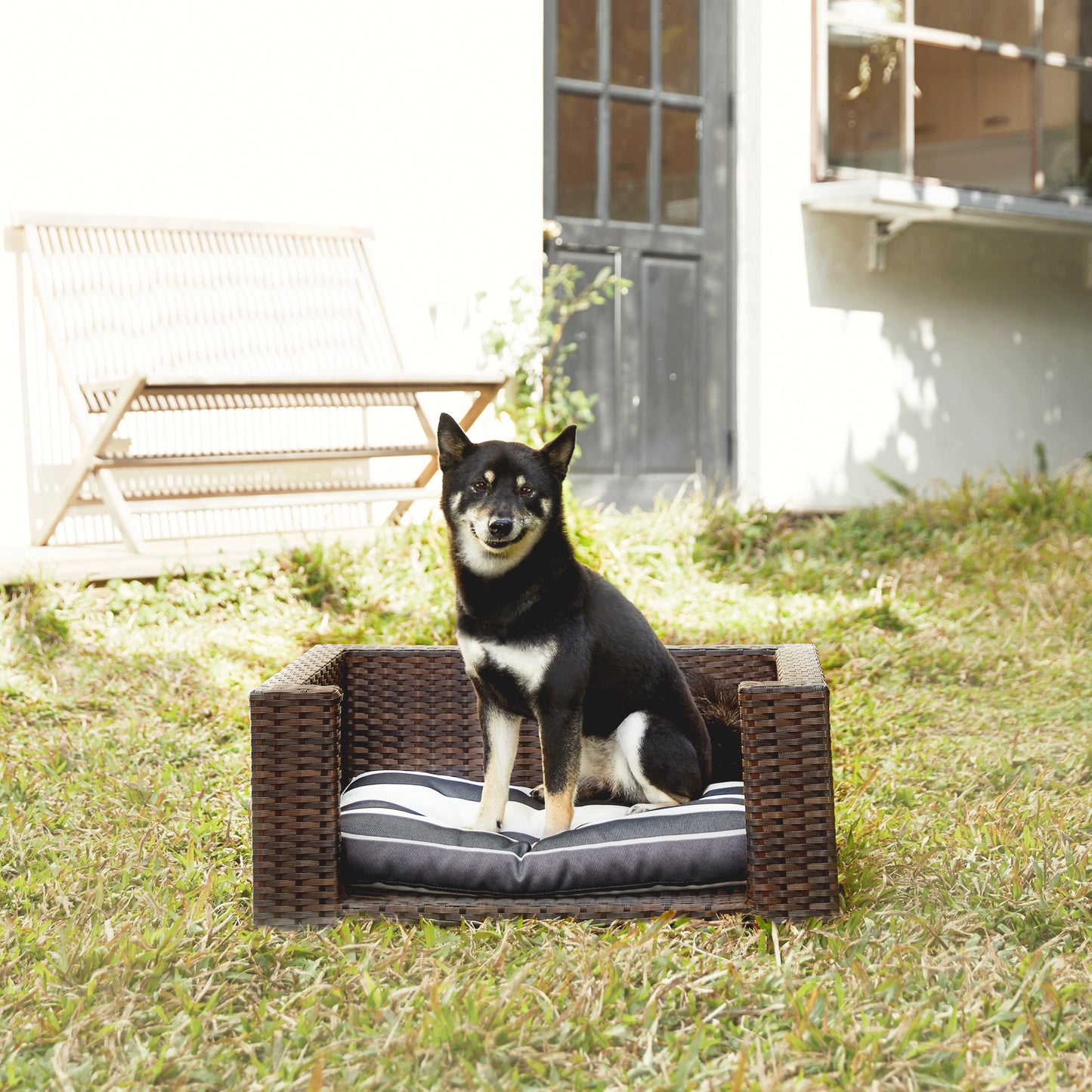 Teamson Pets Rattan Pet Dog or Cat Bed & Cushion